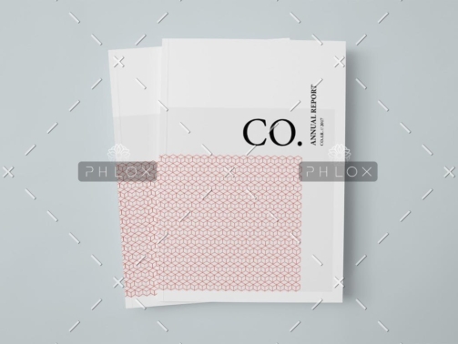 demo-attachment-18-CO.-Annual-Report